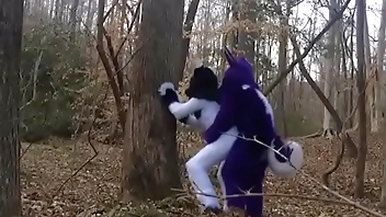 Fursuit Couple Mating in Woods