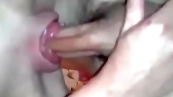 Köküne kadar almak