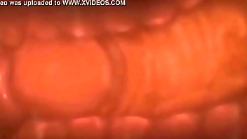 Pau socando uma buceta até gozar no útero