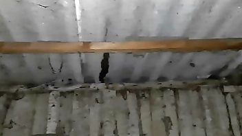 We hid from the rain in an abandoned place to have sex with dirty talk - Lesbian Illusion Girls